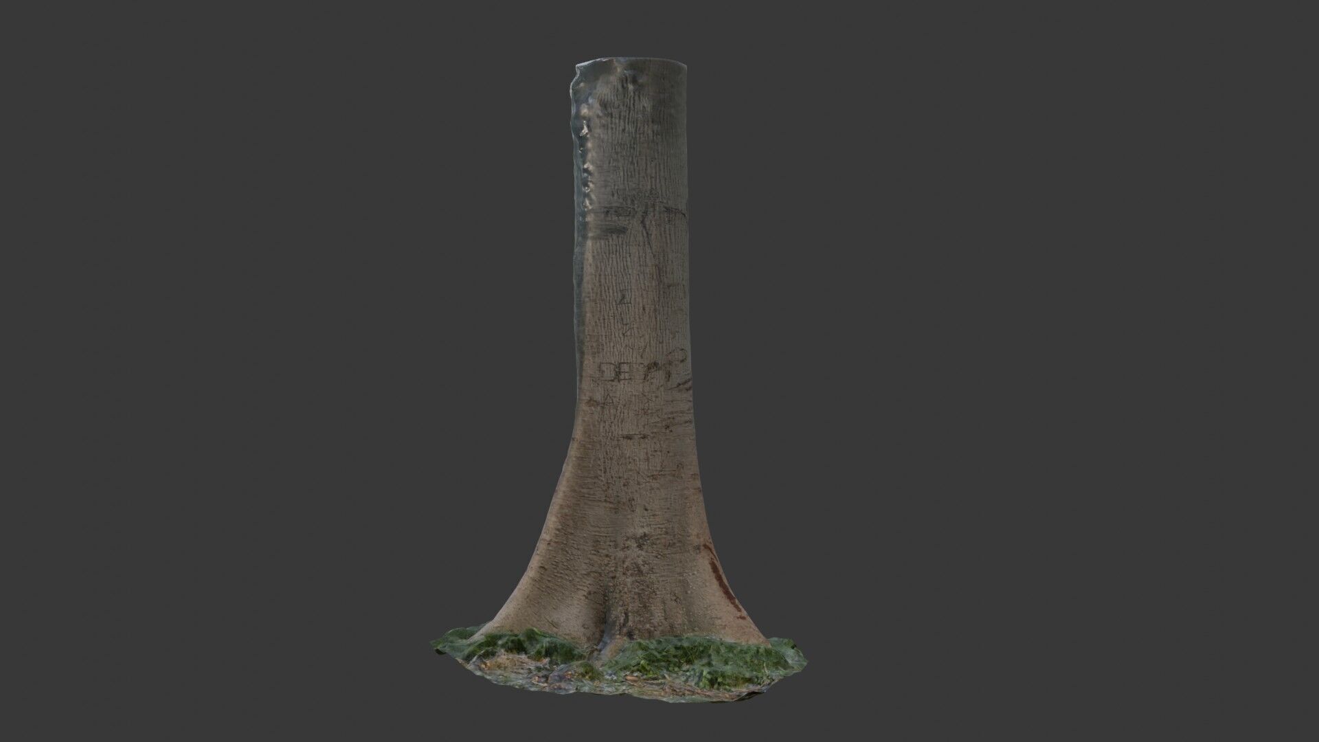 Realistic Tree Trunk  3D Scanned Model Low-poly 3D model_3