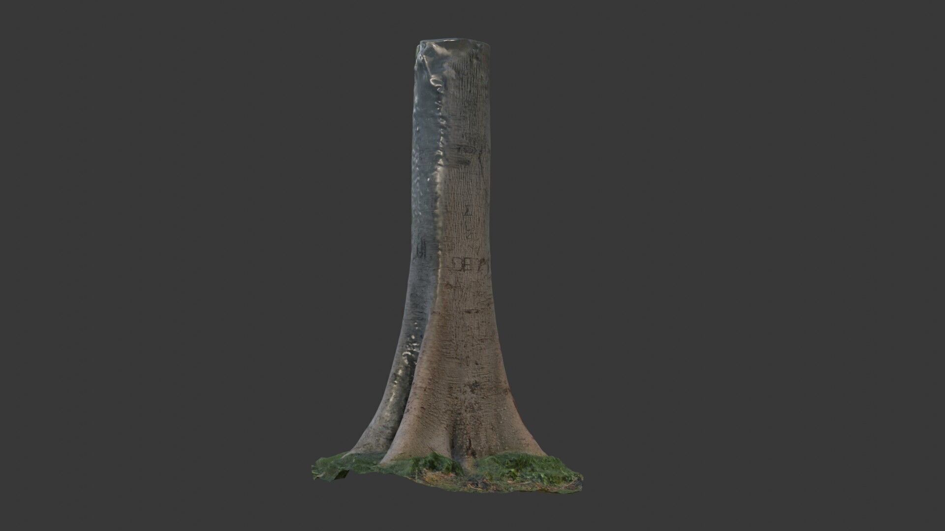 Realistic Tree Trunk  3D Scanned Model Low-poly 3D model_4