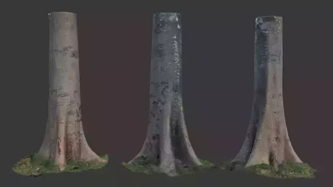Realistic Tree Trunk  3D Scanned Model Low-poly 3D model