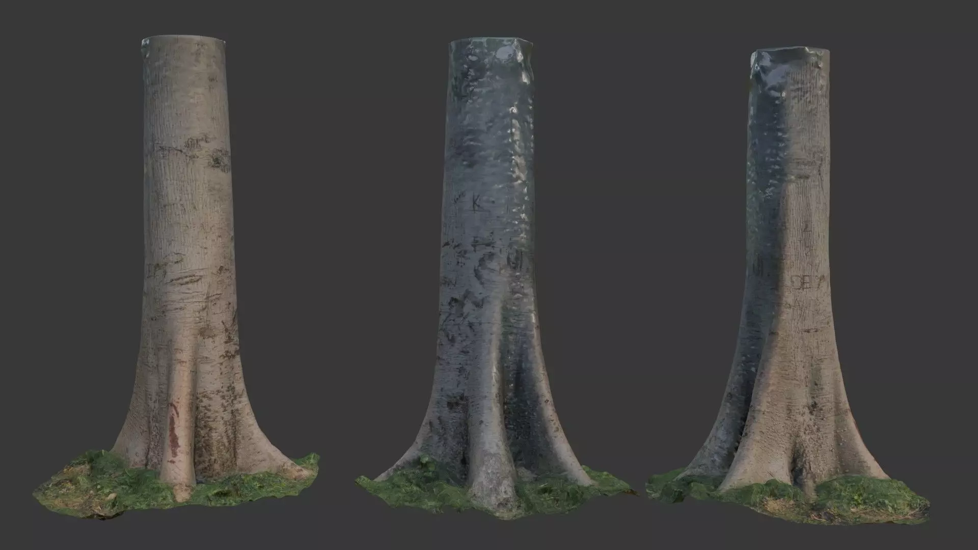 Realistic Tree Trunk  3D Scanned Model Low-poly 3D model_0