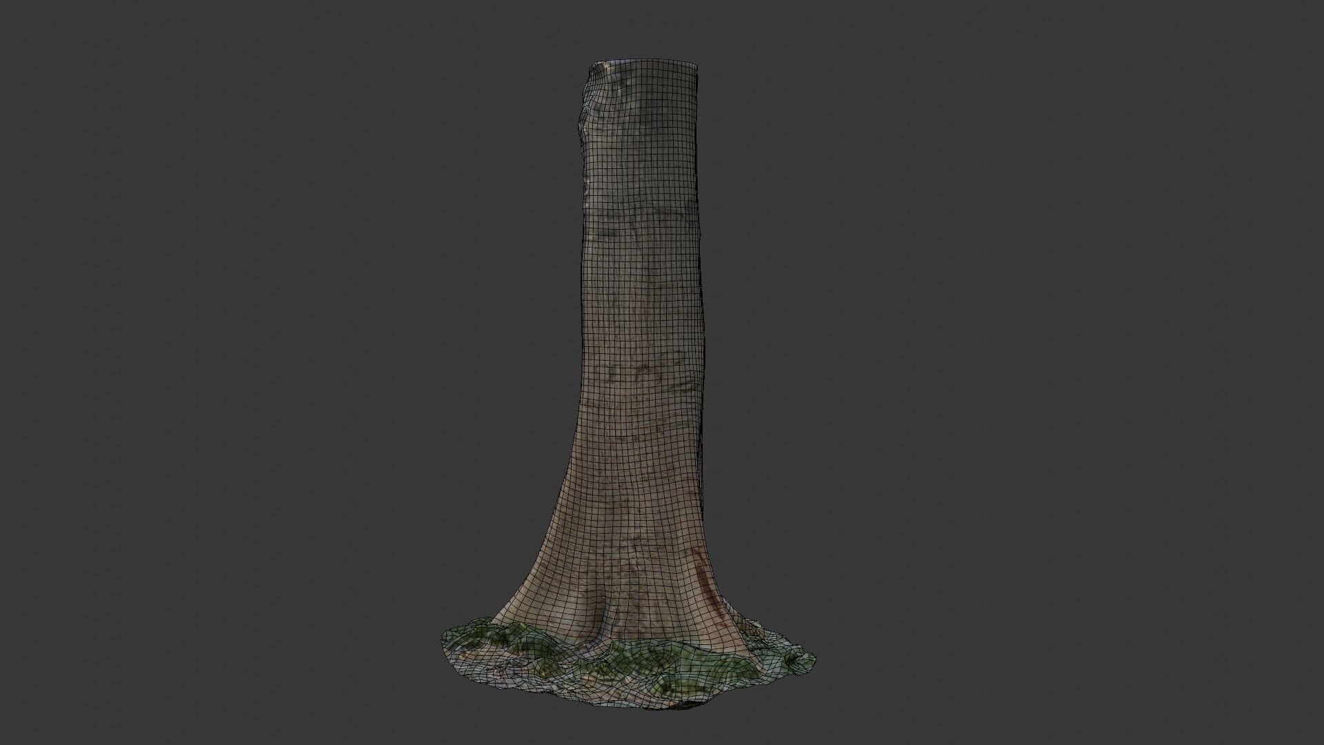 Realistic Tree Trunk  3D Scanned Model Low-poly 3D model_2