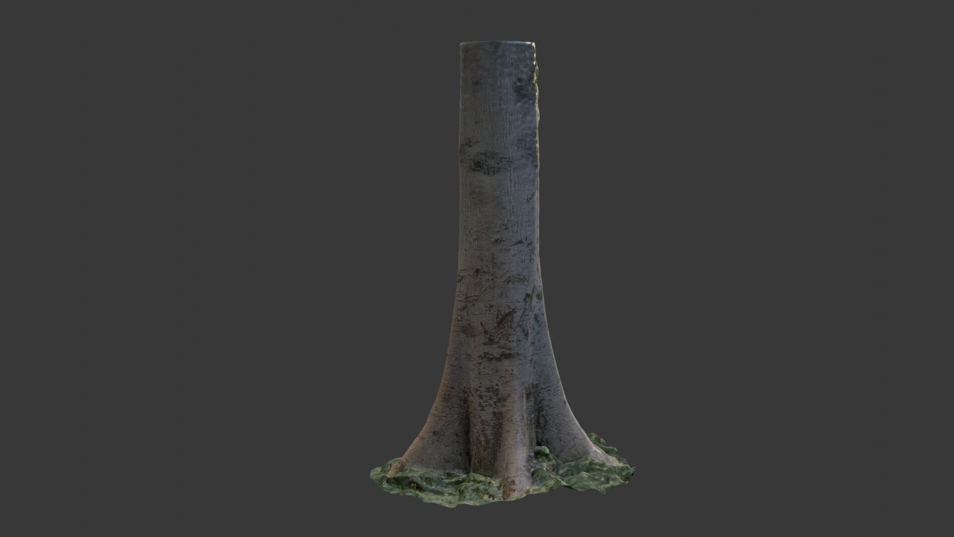 Realistic Tree Trunk  3D Scanned Model Low-poly 3D model_6