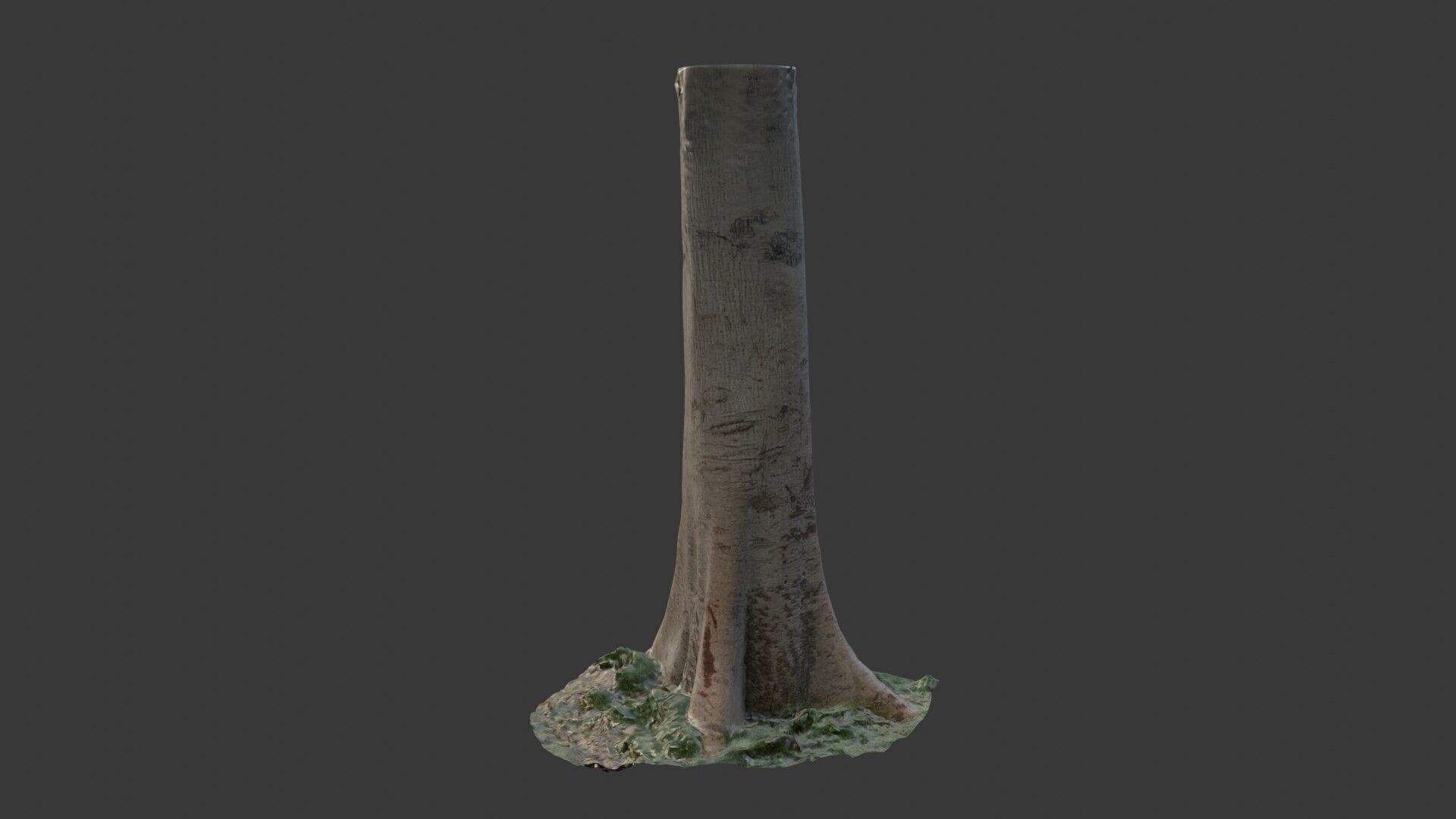 Realistic Tree Trunk  3D Scanned Model Low-poly 3D model_7