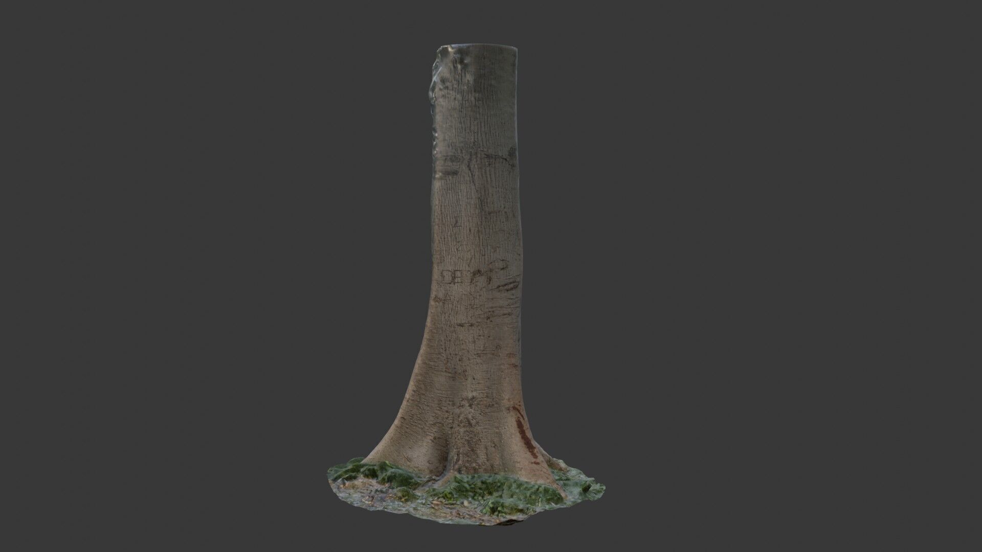 Realistic Tree Trunk  3D Scanned Model Low-poly 3D model_1