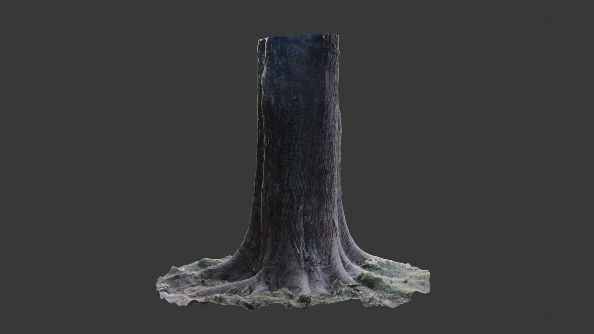 Photorealistic Tree Trunk Pack  3D Scanned Models Low-poly 3D model_5