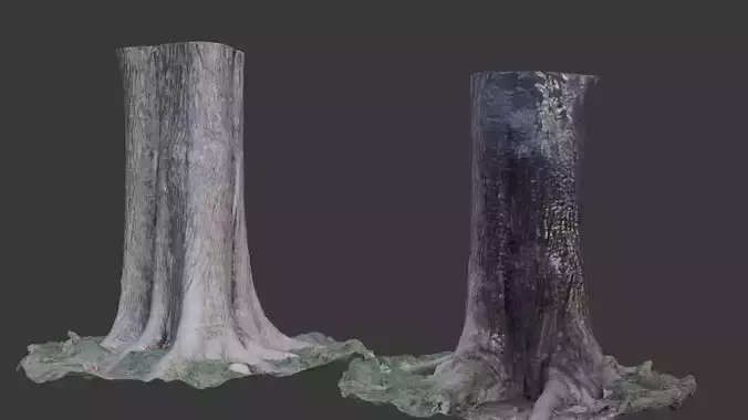 Photorealistic Tree Trunk Pack  3D Scanned Models