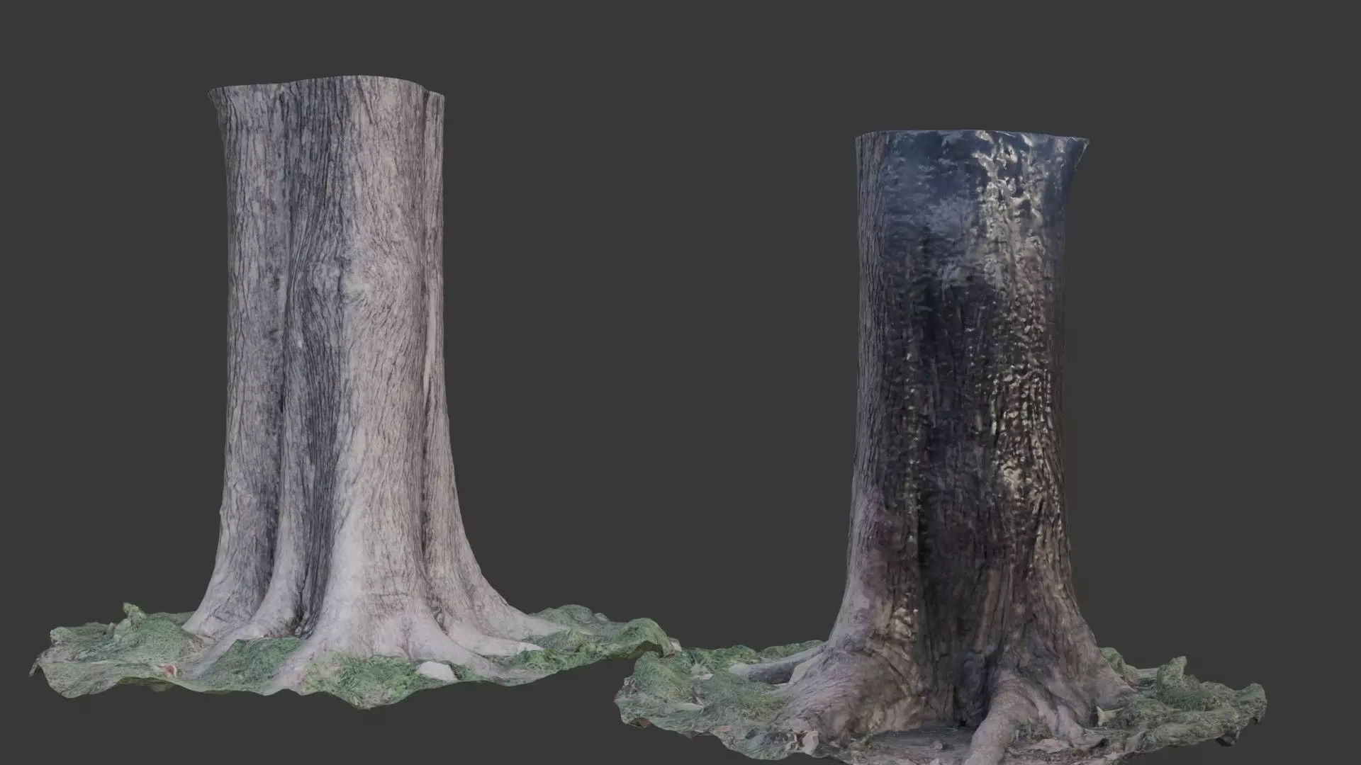 Photorealistic Tree Trunk Pack  3D Scanned Models Low-poly 3D model_0