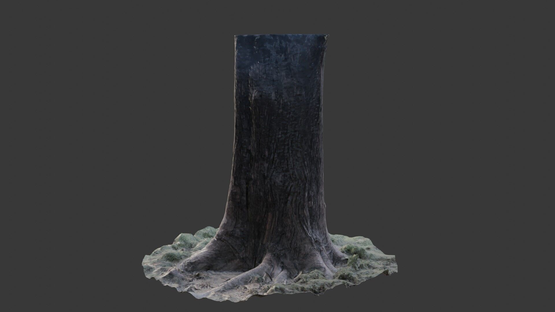 Photorealistic Tree Trunk Pack  3D Scanned Models Low-poly 3D model_6