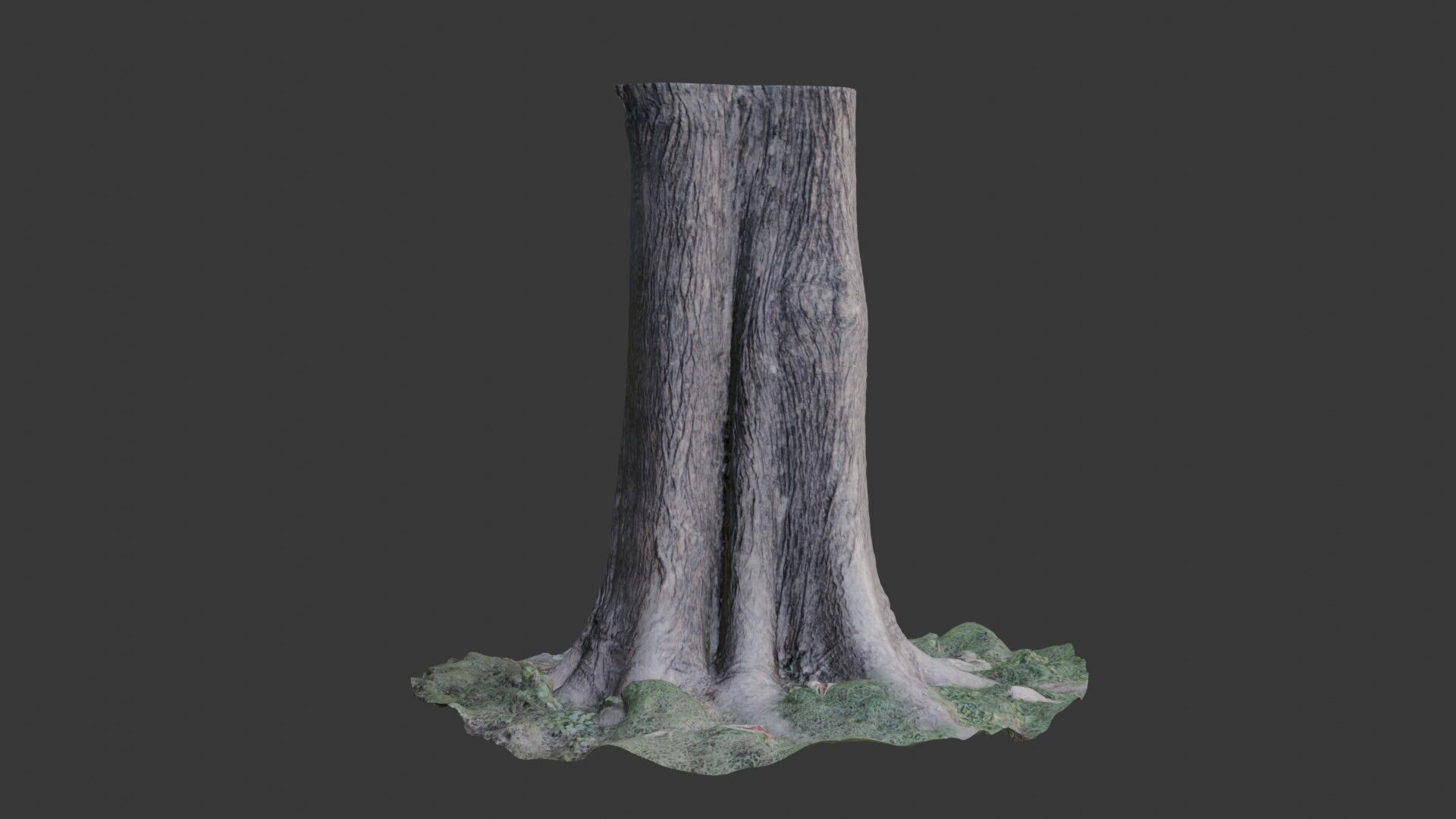 Photorealistic Tree Trunk Pack  3D Scanned Models Low-poly 3D model_3