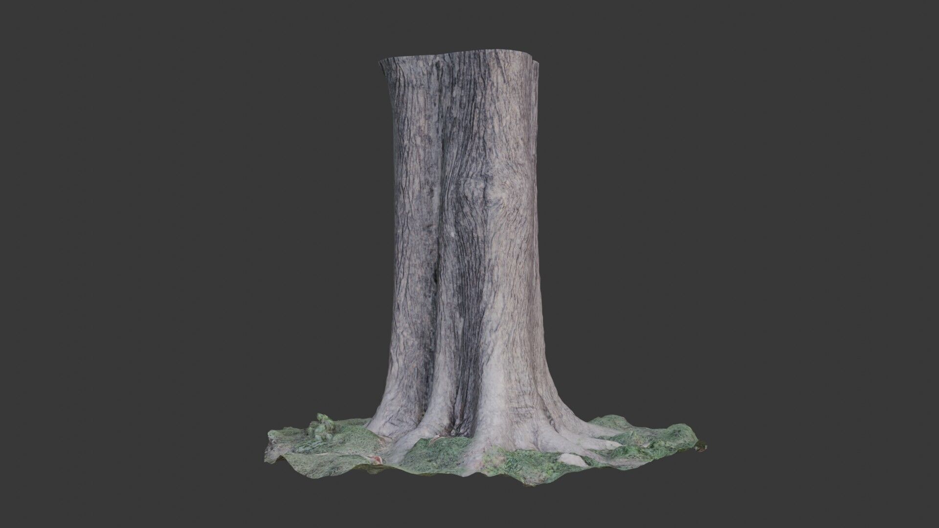 Photorealistic Tree Trunk Pack  3D Scanned Models Low-poly 3D model_1