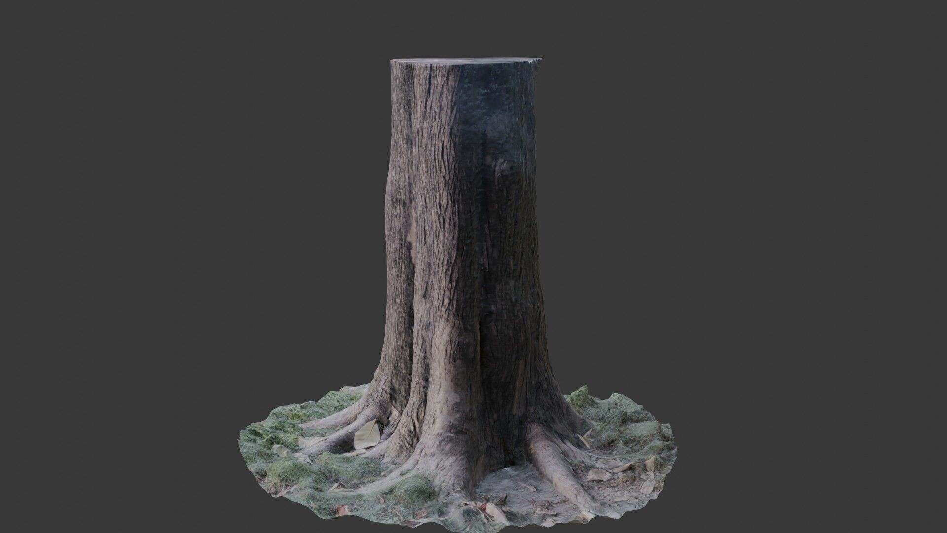 Photorealistic Tree Trunk Pack  3D Scanned Models Low-poly 3D model_7