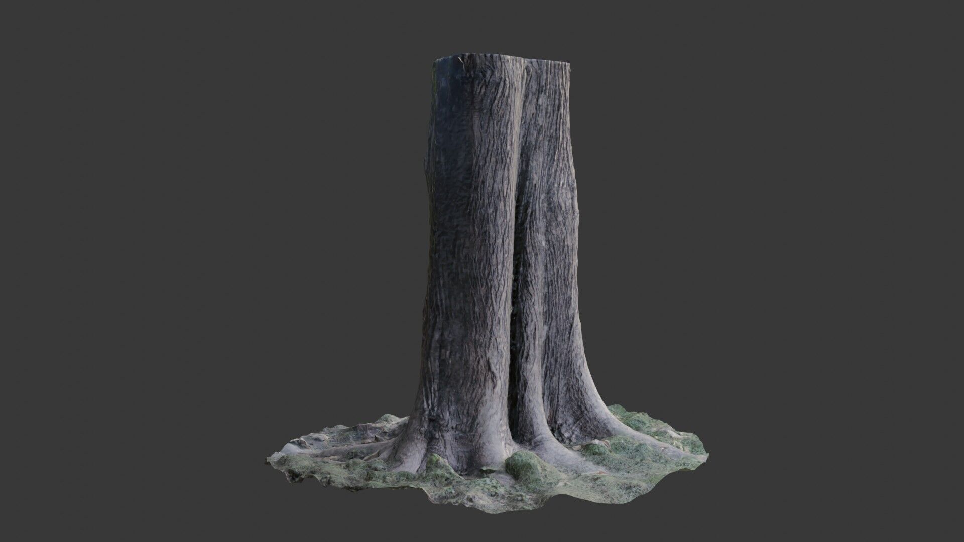 Photorealistic Tree Trunk Pack  3D Scanned Models Low-poly 3D model_4