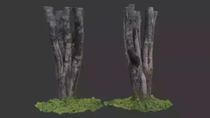 Multi-Stemmed Tree Trunk  3D Scanned Model