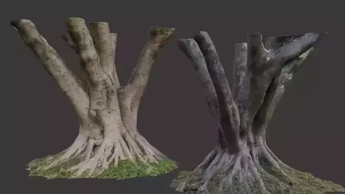 Mult Stem Tree Trunk Scan  Realistic 3D Model with 4K Textures