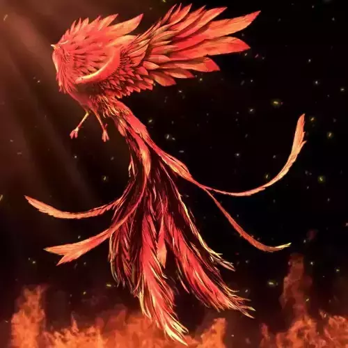 phoenix Undead bird phoenix