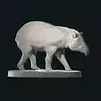 Tapir walking stl