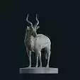 Antelope impala standing stl