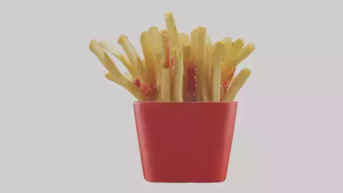 French fries with ketchup model