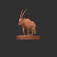 Oryx standing stl 3D print model_3