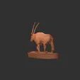 Oryx standing stl 3D print model_1