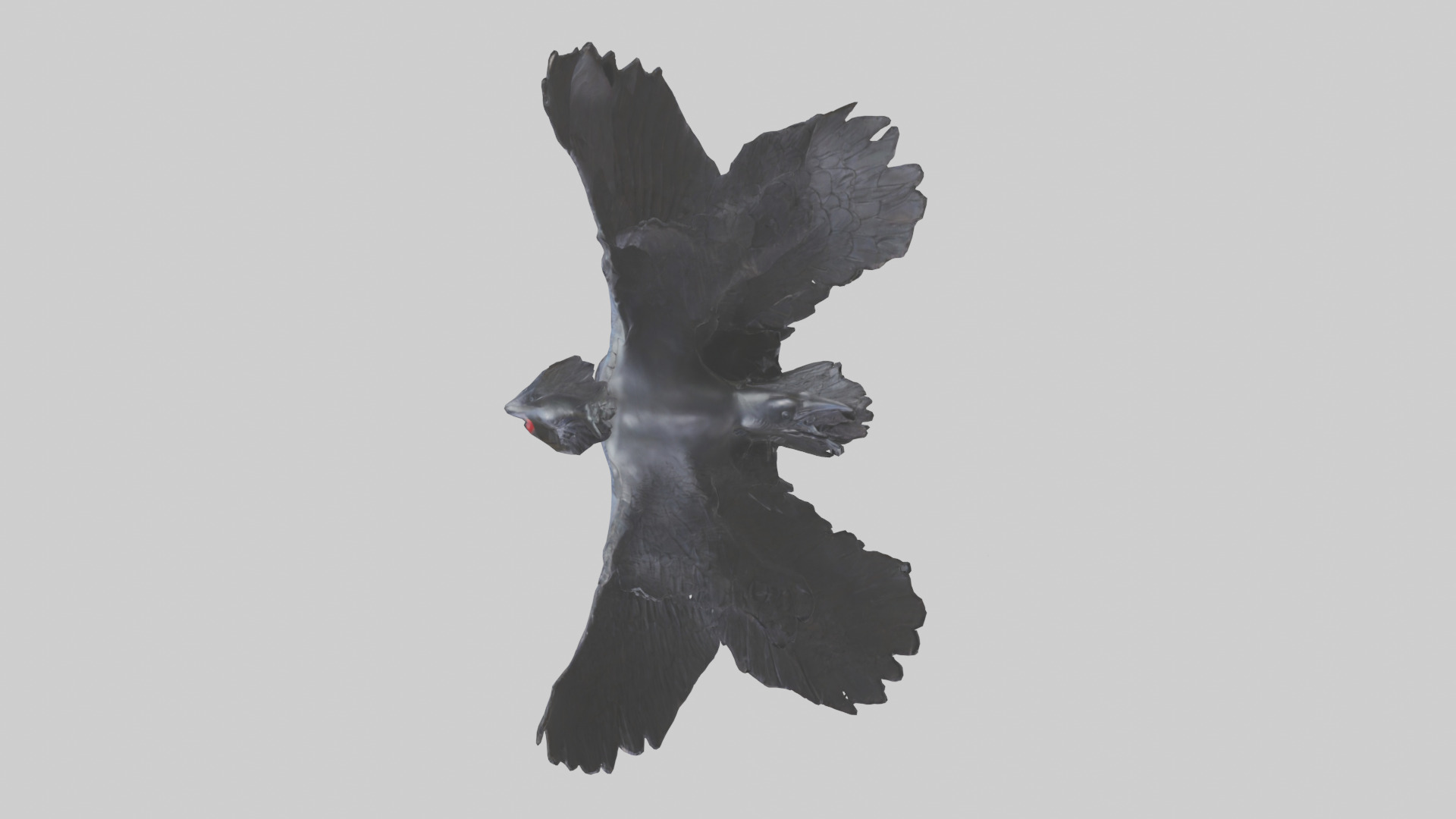 Frigatebird statue model 3D model_14