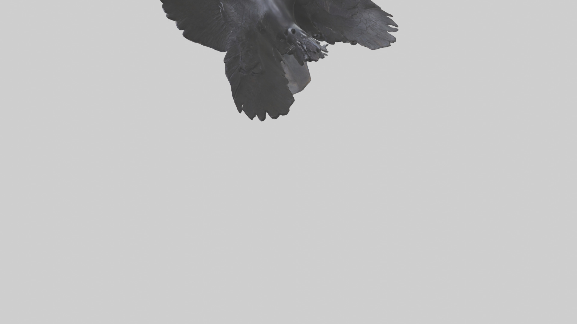 Frigatebird statue model 3D model_5