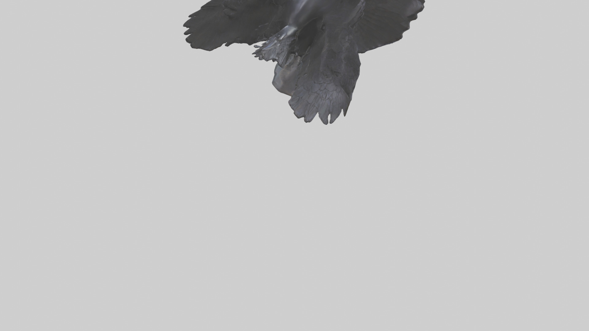 Frigatebird statue model 3D model_3