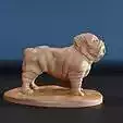 Bulldog standing STL