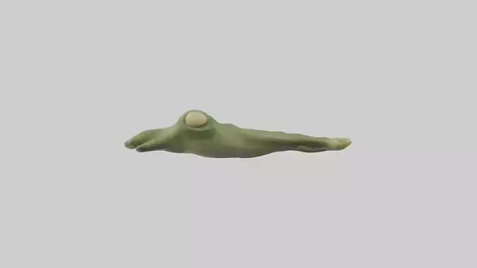 Frog Feet Model