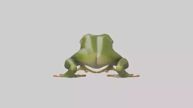 Frog Legs Model
