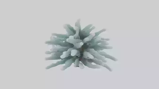 Frosted Pine Boughs model