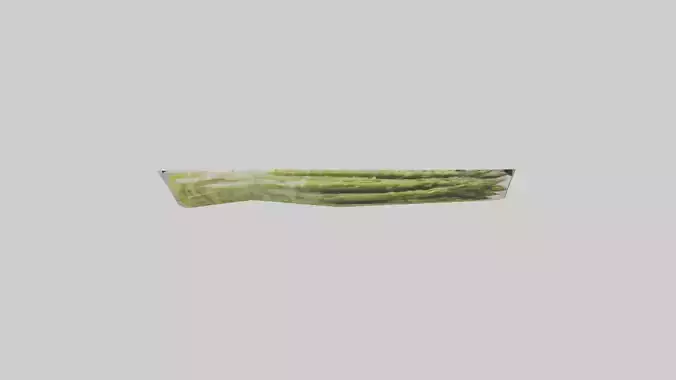 Frozen Asparagus Pack model 3D model
