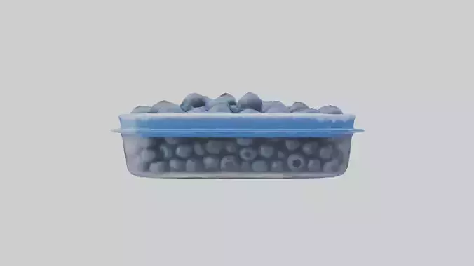 Frozen Blueberries Pack model