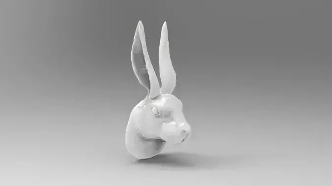 Rabbit head