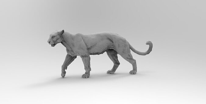leopard 3D model