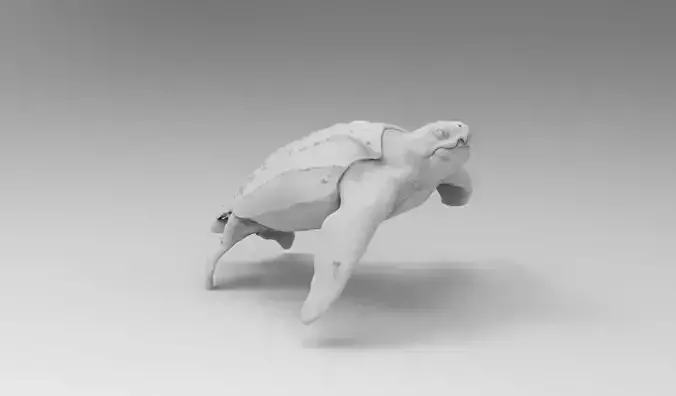 turtle