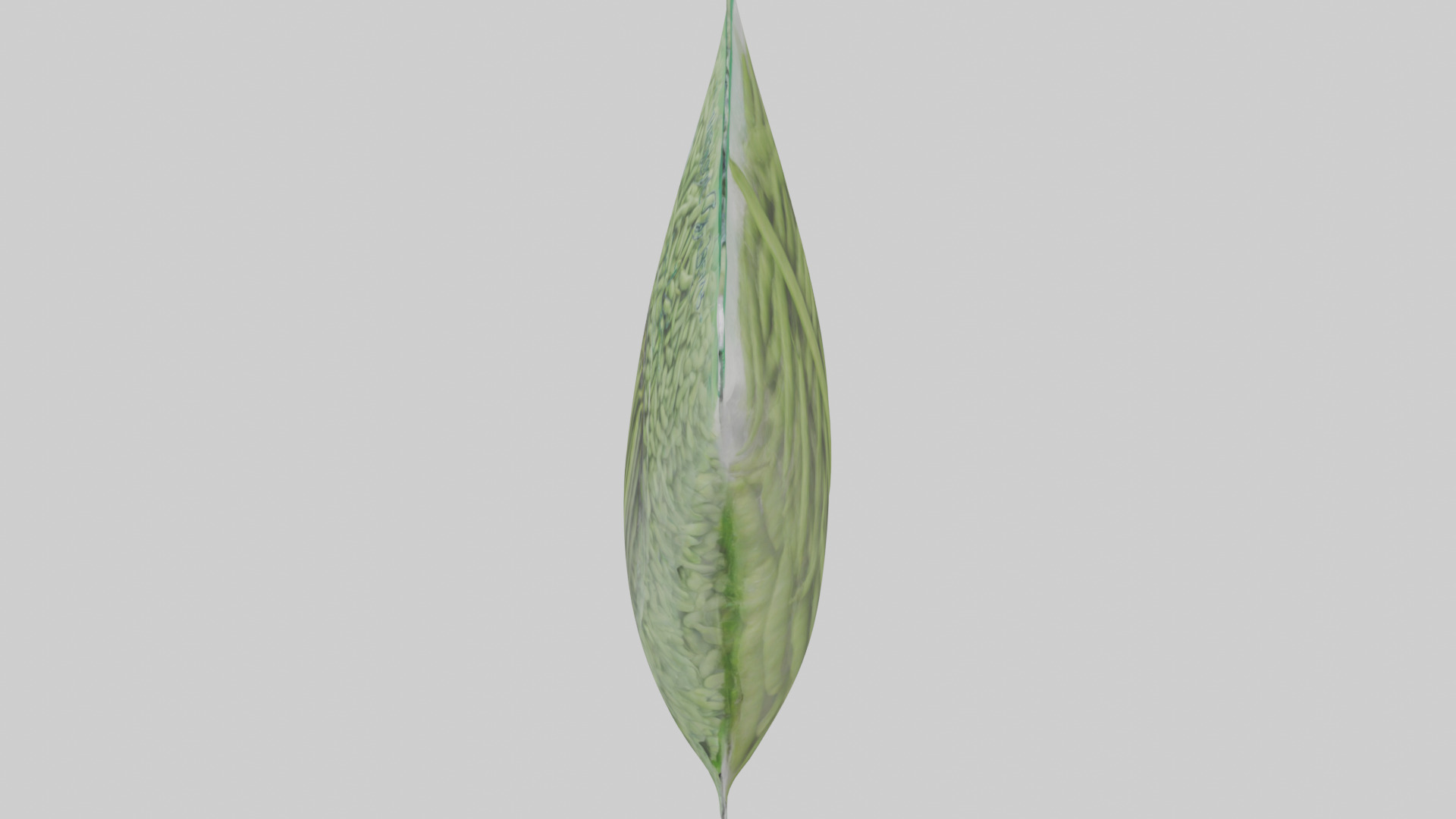 Frozen Green Beans Pack model 3D model_17