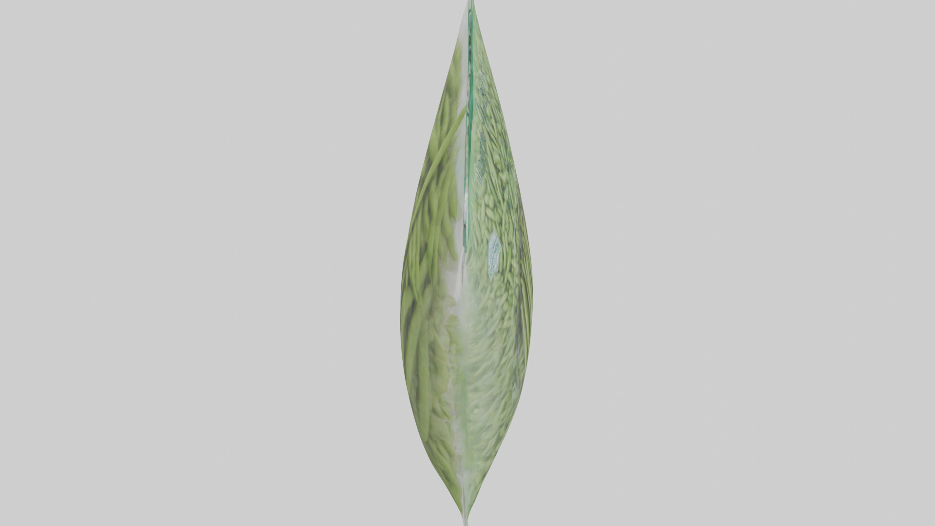 Frozen Green Beans Pack model 3D model_18