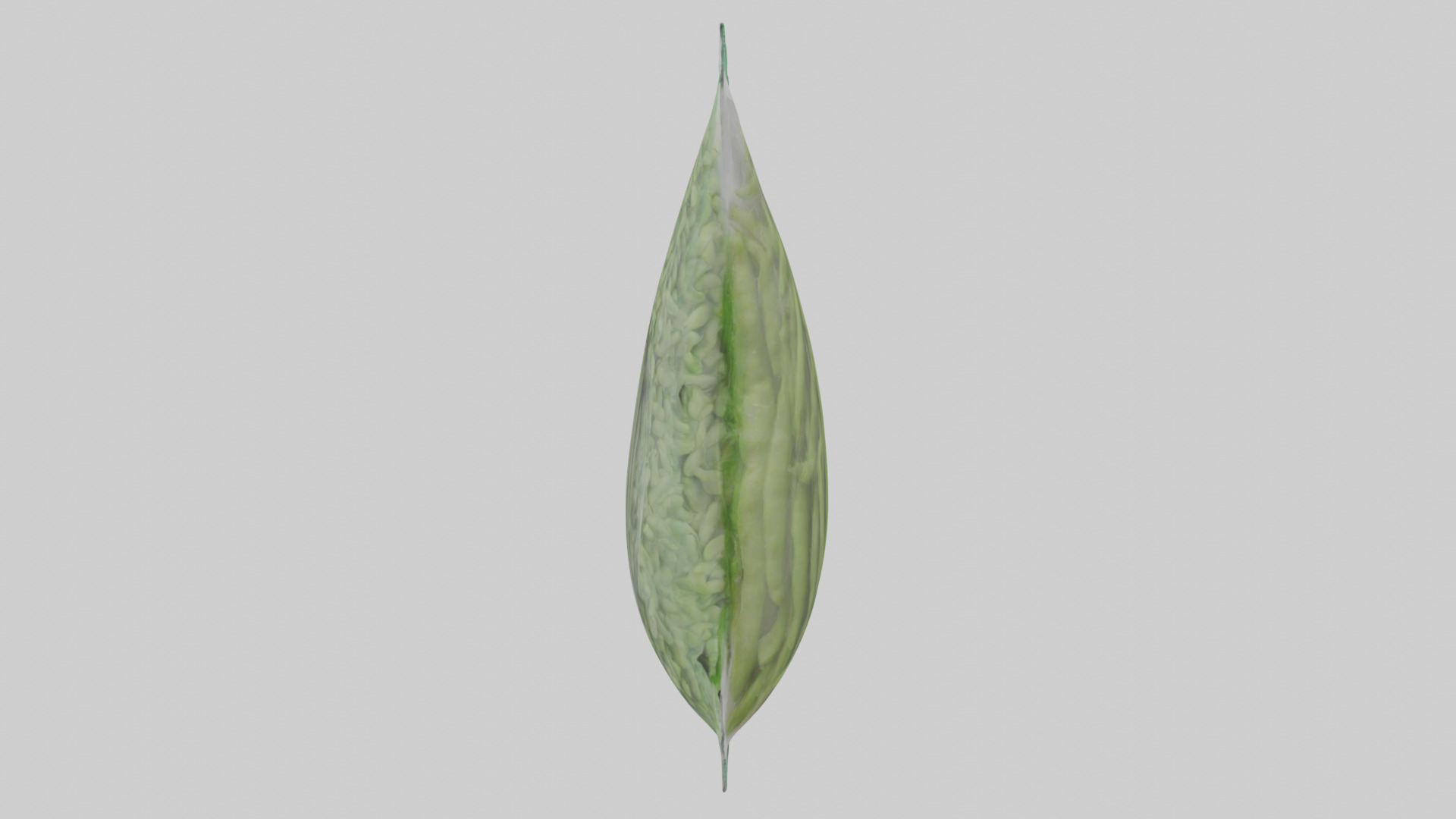 Frozen Green Beans Pack model 3D model_12