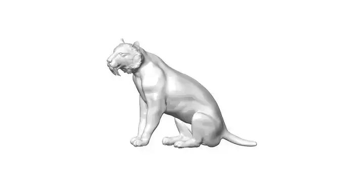 BARBOUROFELIS 3D model