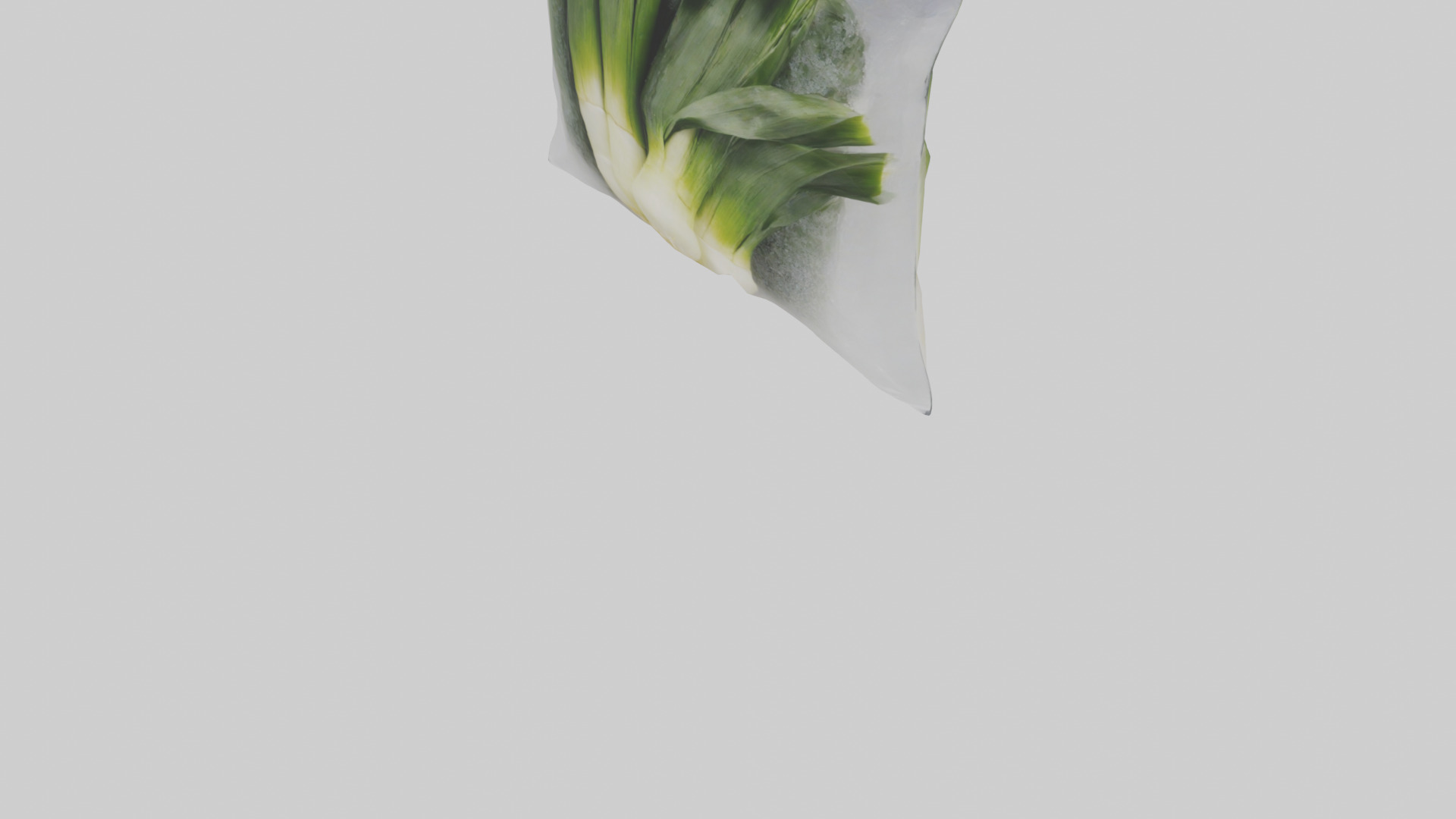 Frozen Leeks Pack model 3D model_5