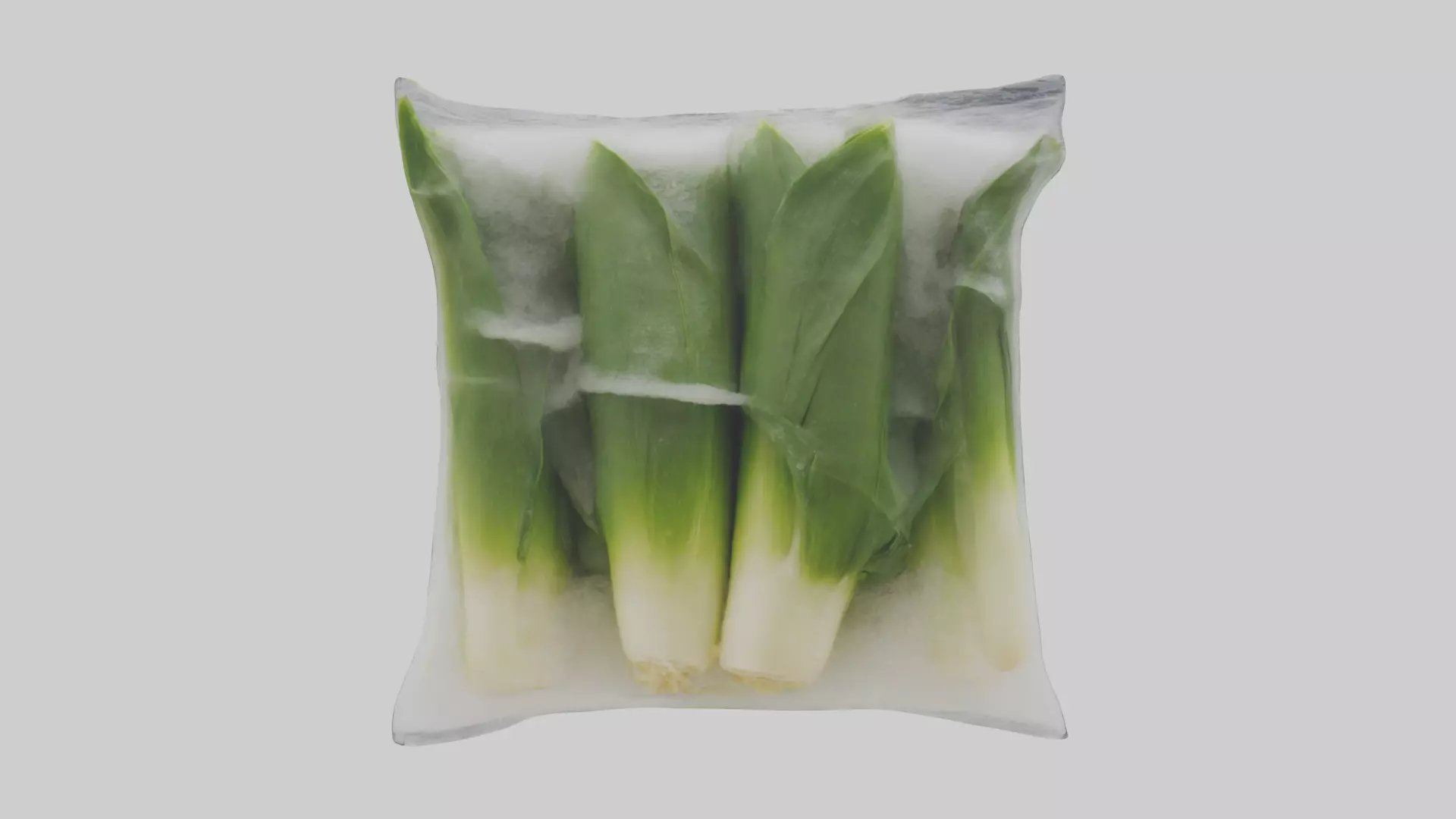 Frozen Leeks Pack model 3D model_0
