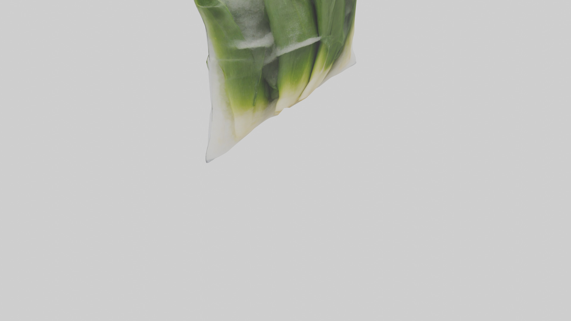 Frozen Leeks Pack model 3D model_3