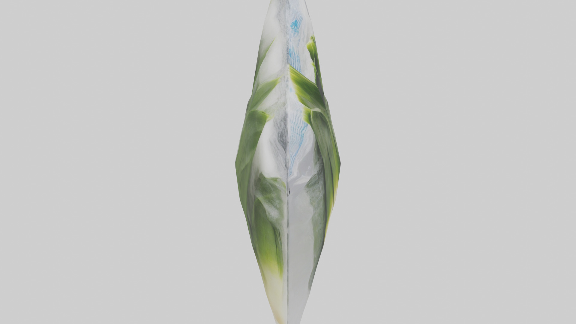 Frozen Leeks Pack model 3D model_18