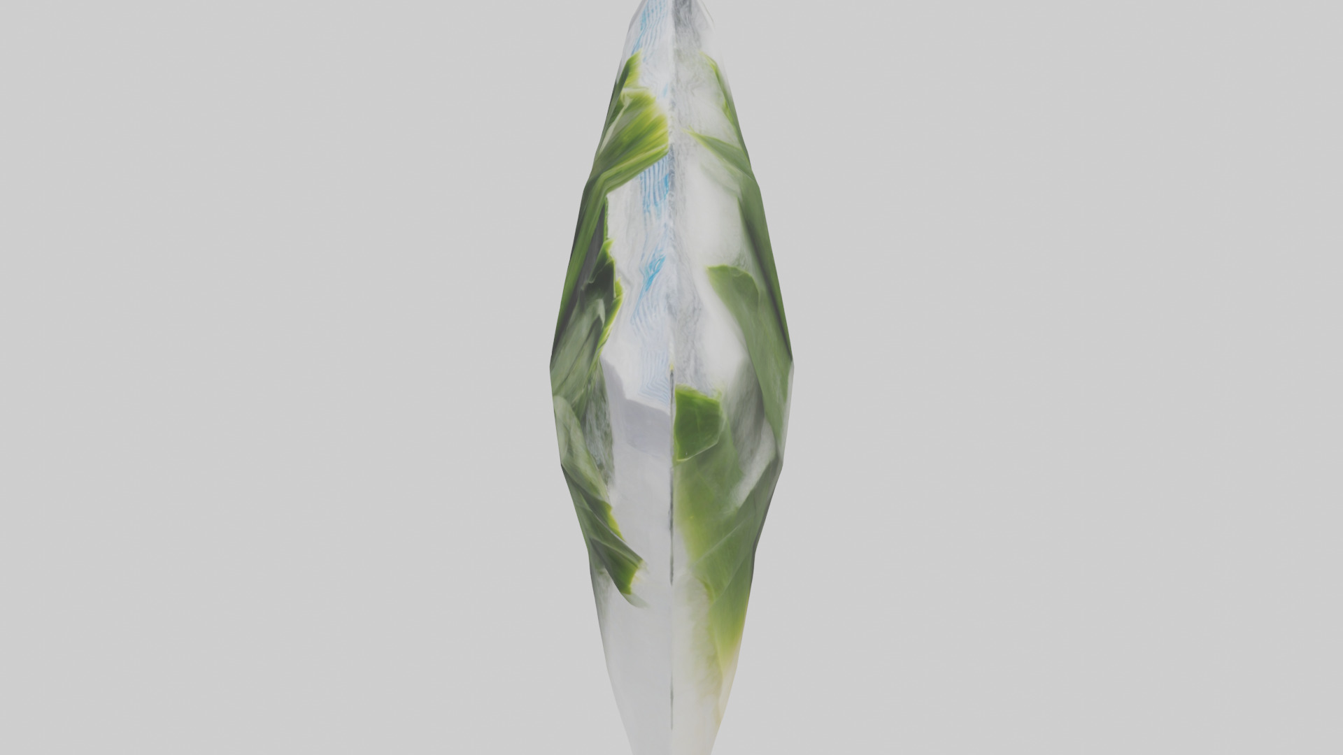 Frozen Leeks Pack model 3D model_17