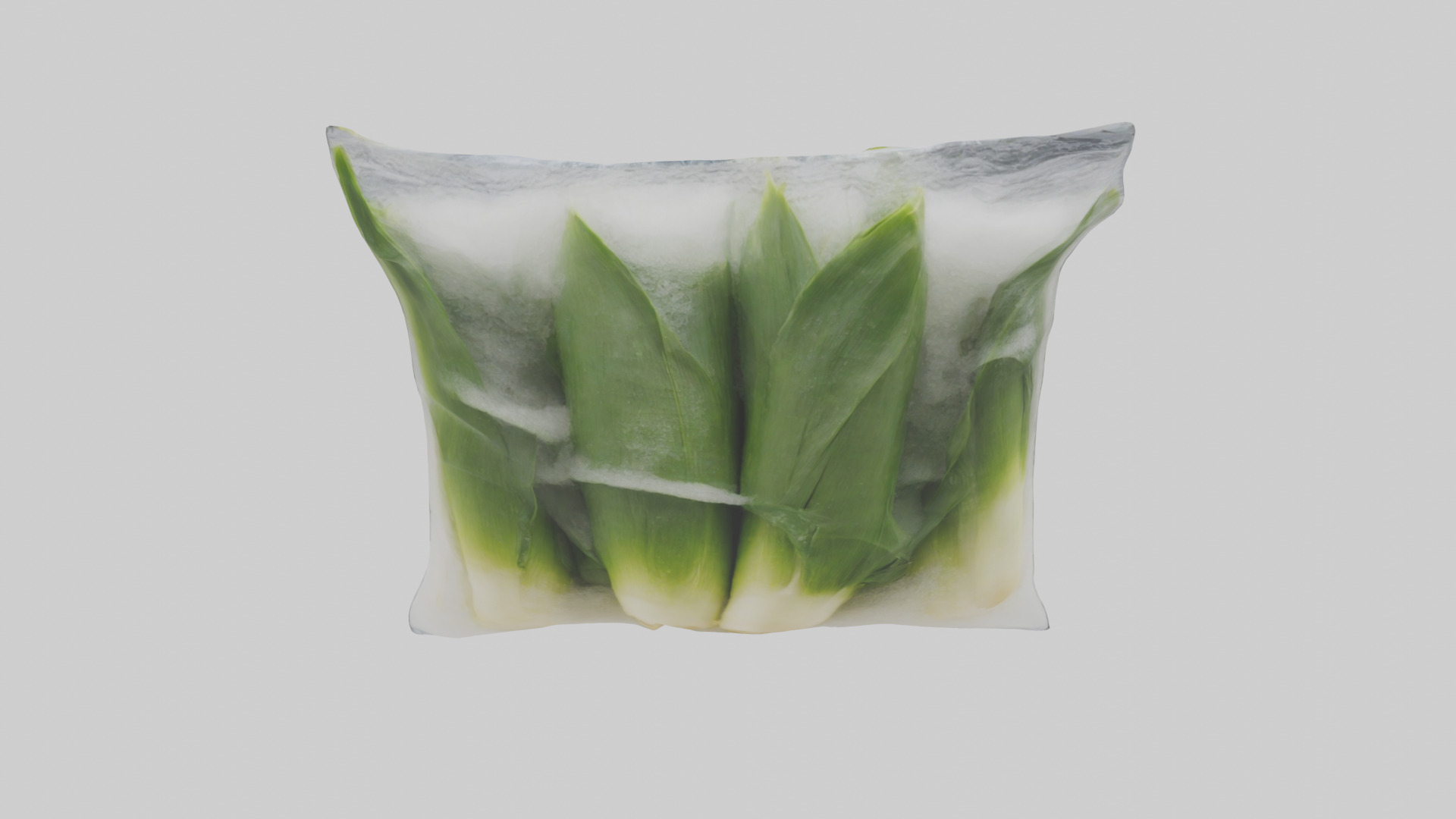 Frozen Leeks Pack model 3D model_15