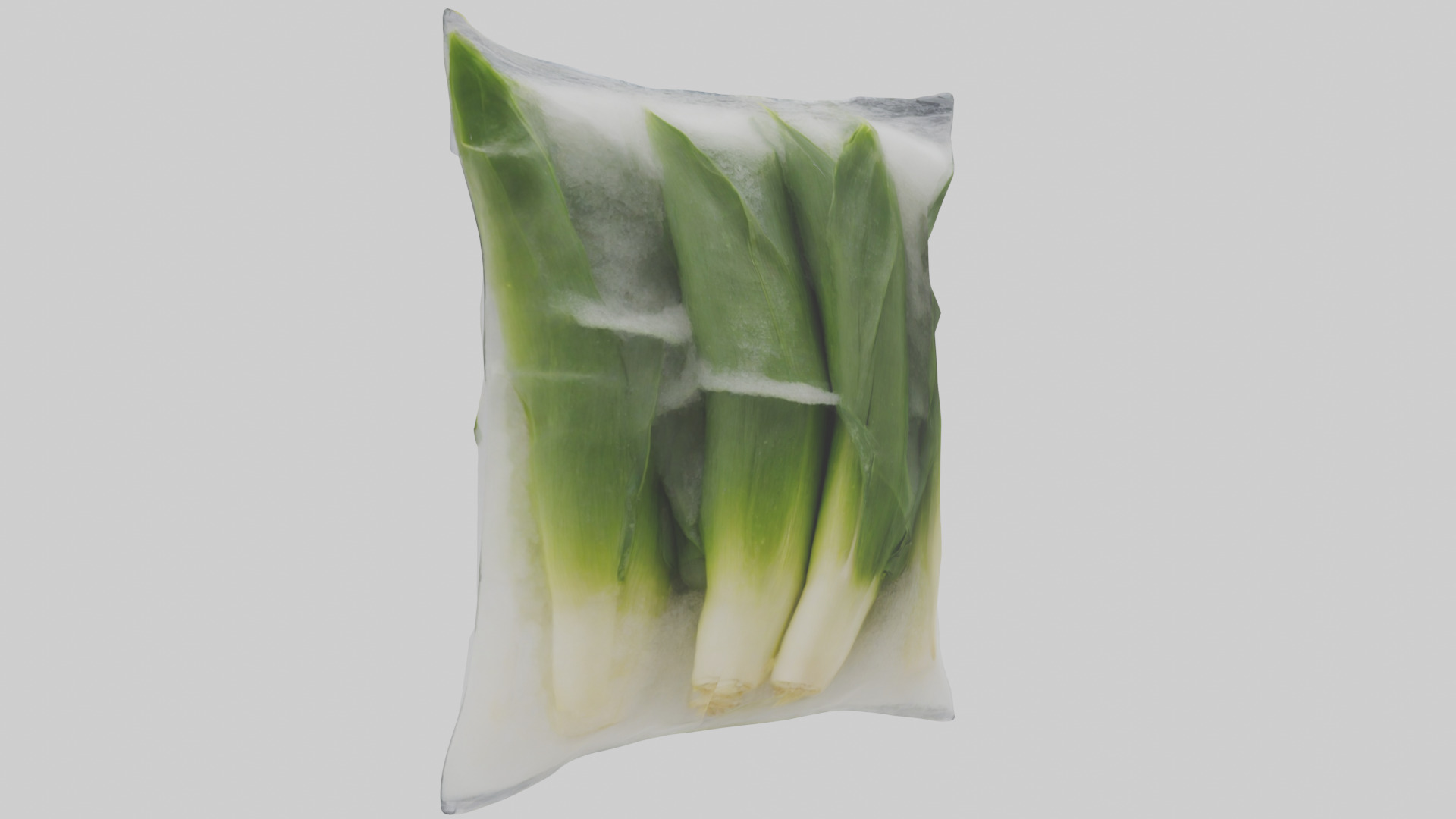 Frozen Leeks Pack model 3D model_1