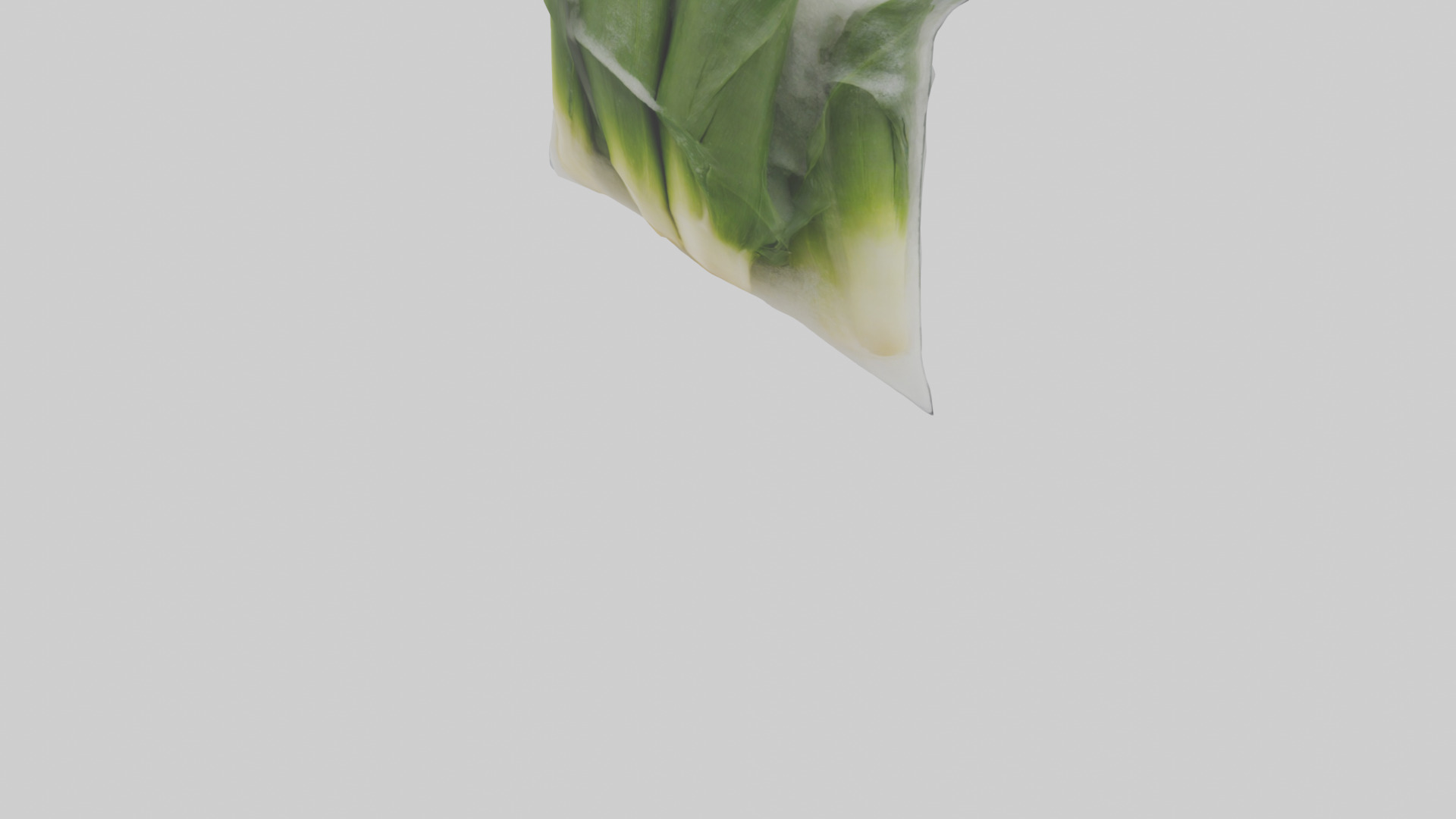 Frozen Leeks Pack model 3D model_4