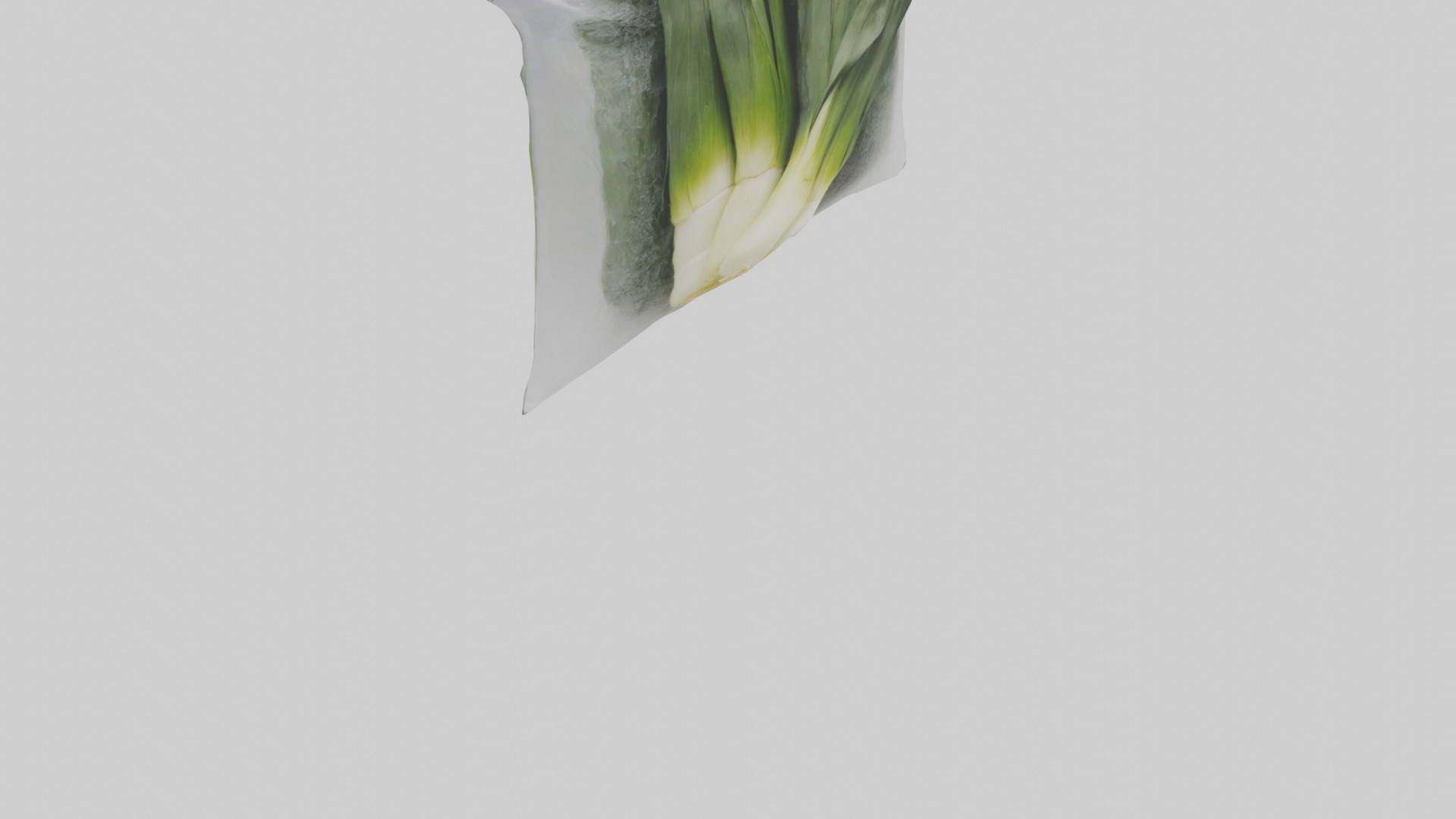 Frozen Leeks Pack model 3D model_6