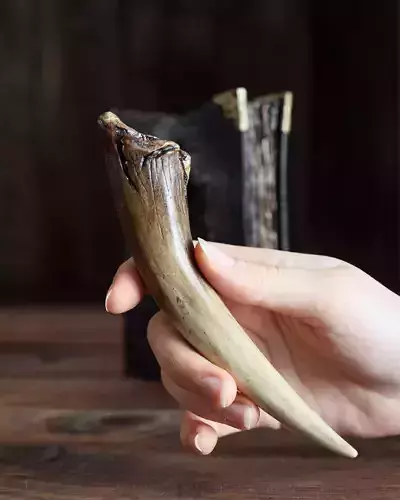 Basilisk Fang Original Design - Harry P Inspired 3D print model